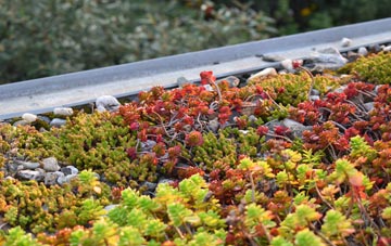 the cost of Mossy Lea green roof installation