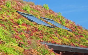 Mossy Lea living roof systems